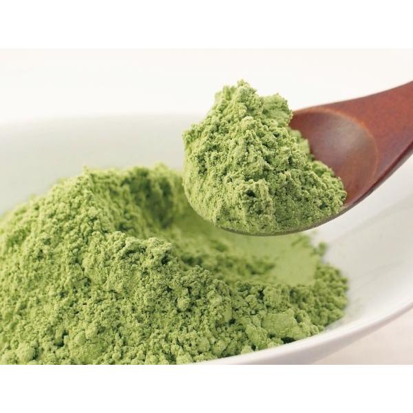 クマ笹 北海道産 100% パウダー100g くま笹茶 熊笹茶 クマザサ茶 熊笹