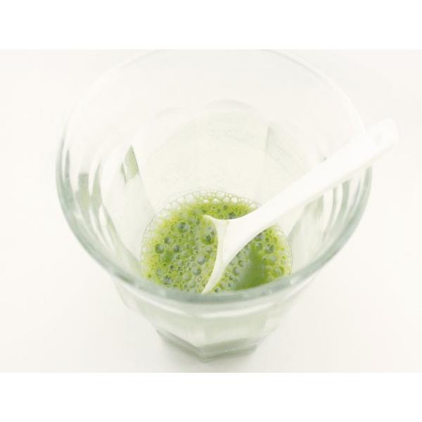 クマ笹(北海道産)無添加 100% パウダー 2,800g(100g×28個)くま笹茶 熊笹茶 クマザサ茶 熊笹 青汁 粉末 お茶 :063-2800:健康・野草茶センター - 通販 - Yahoo!ショッピング クマ笹(北海道産)無添加 100% パウダー 2,800g(100g×28個)くま笹茶 熊笹茶 クマザサ茶 熊笹 青汁 粉末 お茶 :063-2800:健康・野草茶センター - 通販 - Yahoo!ショッピング