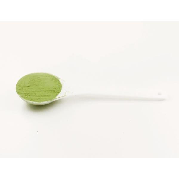 クマ笹(北海道産)無添加 100% パウダー 800g(100g×8個)くま笹茶 熊笹茶 クマザサ茶 熊笹 青汁 粉末 お茶 :063-800:健康・野草茶センター - 通販 - Yahoo!ショッピング クマ笹(北海道産)無添加 100% パウダー 800g(100g×8個)くま笹茶 熊笹茶 クマザサ茶 熊笹 青汁 粉末 お茶 :063-800:健康・野草茶センター - 通販 - Yahoo!ショッピング