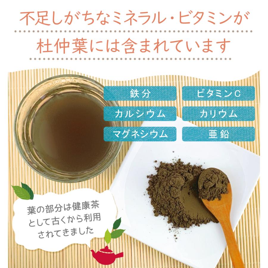 杜仲葉 長野県産 100% パウダー 200g（100g×2個） とちゅう茶 トチュウ