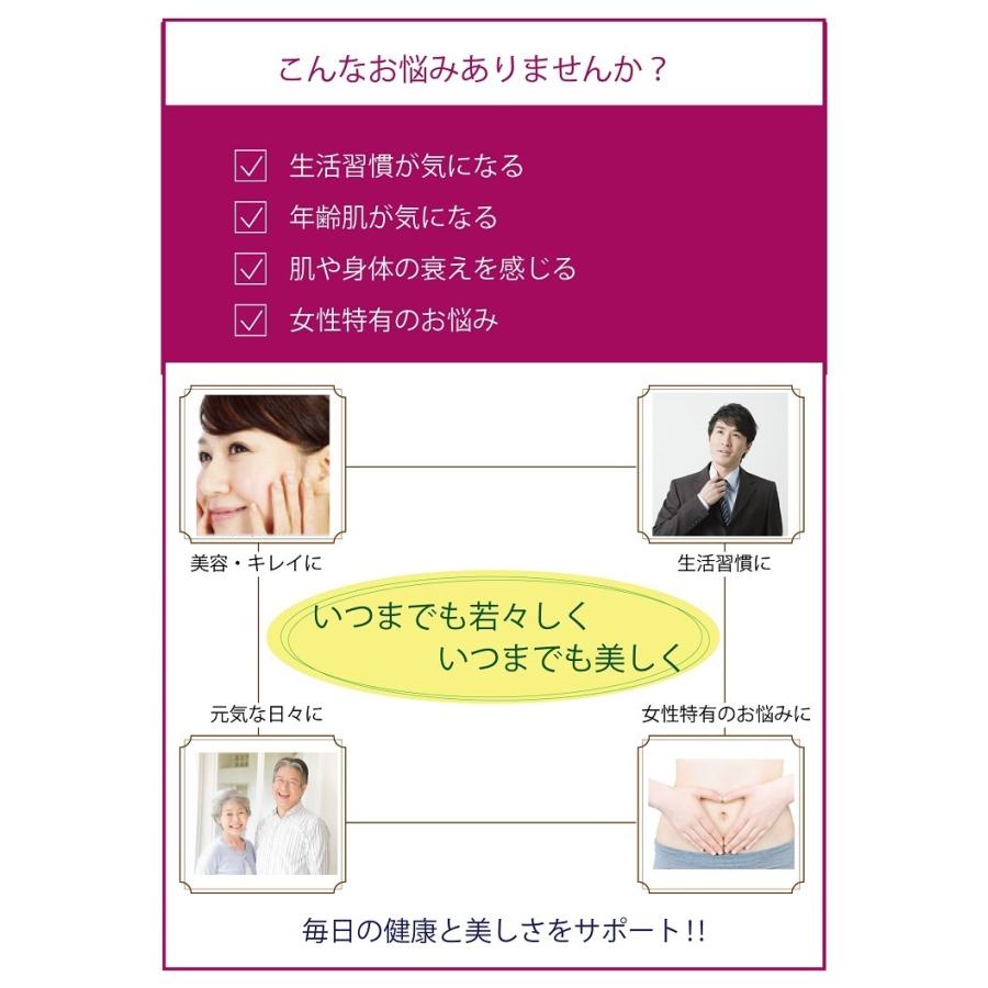 フランス海岸松 樹皮 フランス産 無添加 100 パウダー 80g 粉末 健康茶