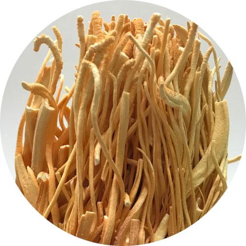 冬虫夏草（国産）無添加 100% パウダー 80g（40g×2個）　粉末　サプリ　とうちゅうかそう　トウチュウカソウ コルジセプス　かいこ　蚕_2