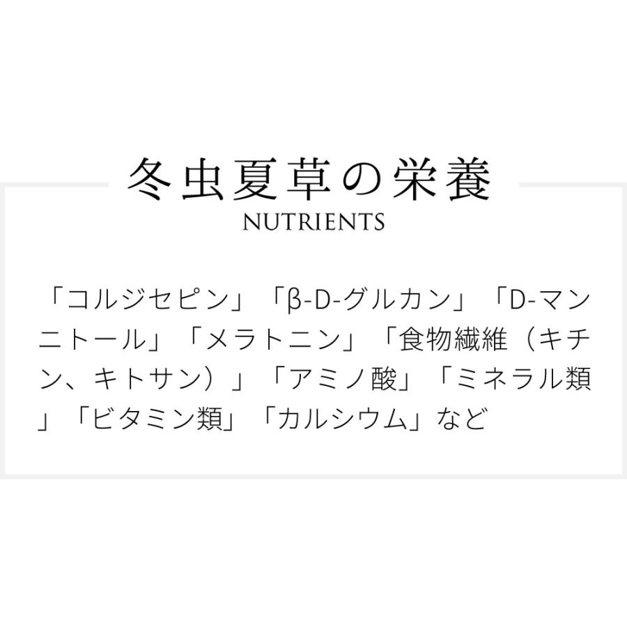 冬虫夏草（国産）無添加 100% パウダー 80g（40g×2個）　粉末　サプリ　とうちゅうかそう　トウチュウカソウ コルジセプス　かいこ　蚕_4