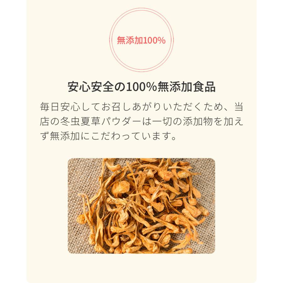 冬虫夏草（国産）無添加 100% パウダー 80g（40g×2個）　粉末　サプリ　とうちゅうかそう　トウチュウカソウ コルジセプス　かいこ　蚕_7