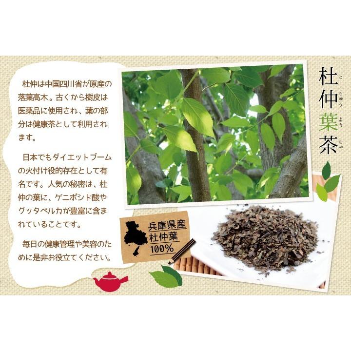 杜仲茶(兵庫県産)【2g×35包】 ティーパック 健康茶 国産 お茶 ティーパック 杜仲｜yaso-cha｜04