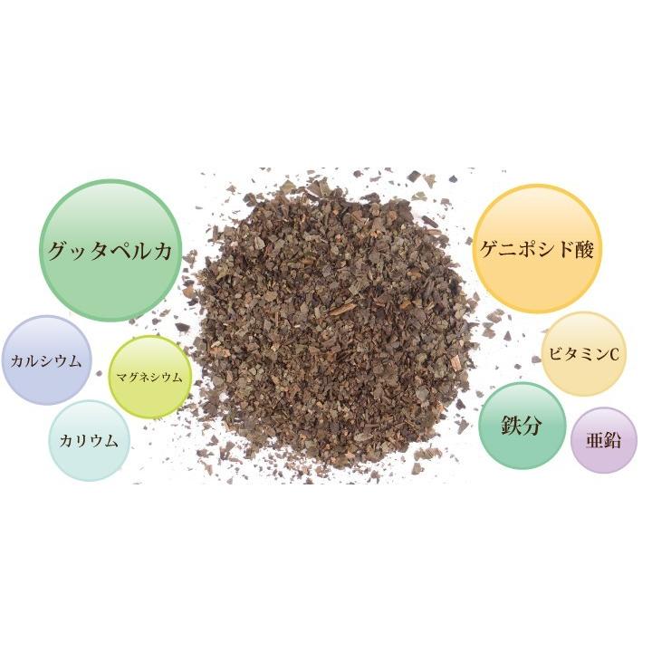 杜仲茶(兵庫県産)【2g×35包】 ティーパック 健康茶 国産 お茶 ティーパック 杜仲｜yaso-cha｜10