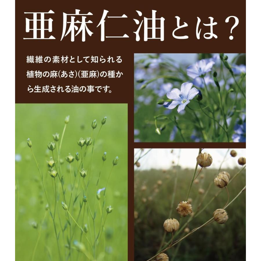 亜麻仁油 60包 30包x2個 無添加 国内加工 あまに アマニ アマニ油 亜麻仁 アマニオイル オイル オメガ3 A リノレン酸 食品