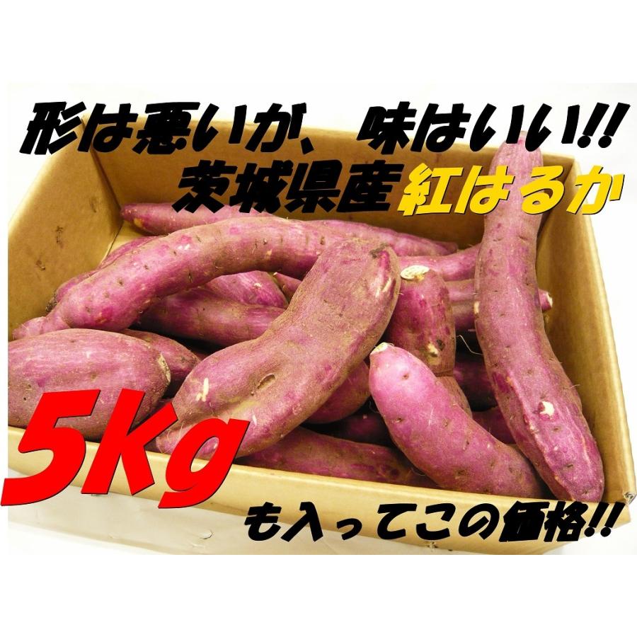 茨城県産　紅はるか　ほしいも　訳あり　箱入れ5キロ wakeimo2_lp_01a.jpg