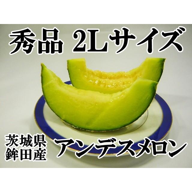アンデスメロン　甘くて美味しい秀品　メロン　青肉メロン 1.jpg