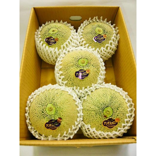 アンデスメロン 茨城県産 スイーツ 青肉メロン 名産品 : 西野さんのお