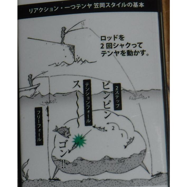 V.I.SOUL ブイアイソウル 三笠 一つテンヤ タングステンver 12号（45g