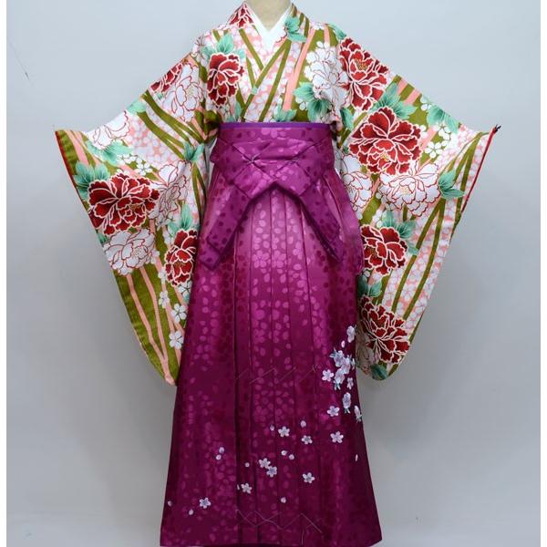 H.L 二尺袖 着物袴 フルセット H・Lアッシュ・エル ショート丈 H.L 二尺袖 着物袴 フルセット H・Lアッシュ・エル ショート丈