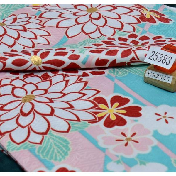 H.L 着物袴セット ジュニア用へ直し 女児 水色 アッシュ エル H・L  