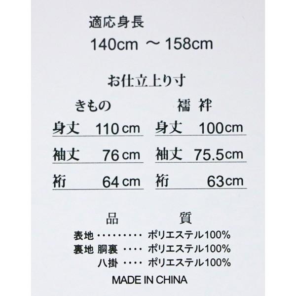 着物袴セット ジュニア用 適応身長140cm〜158cm ショート丈 卒業式 