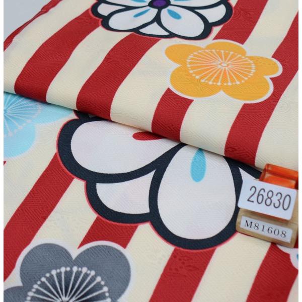 二尺袖 着物袴 ふるせッと ボぬーるせゾン 袴色選択可能 しョーと丈 二尺袖 袴ふるせッと ボぬーるせゾン 袴色選択可能 しョーと丈