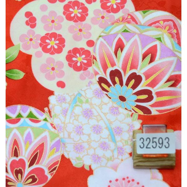 二尺袖 着物 袴フルセット 百花斉放 赤地 袴変更可能 卒業式 新品（株 