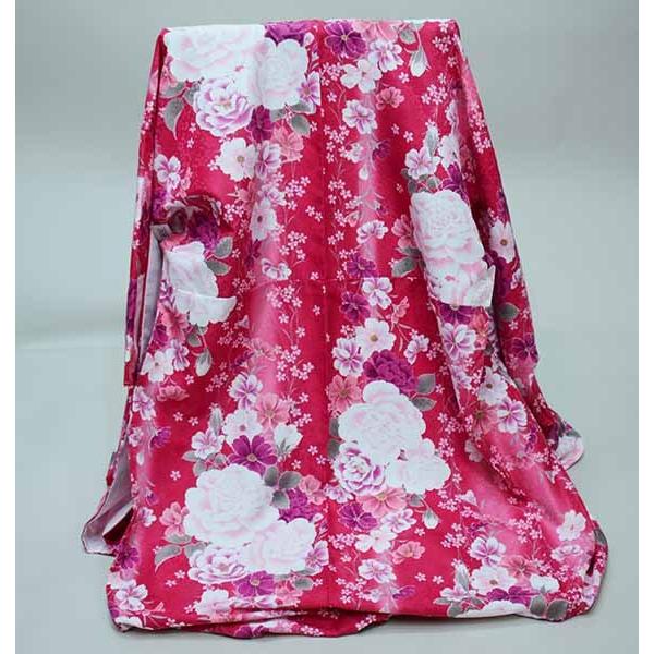 二尺袖 着物 袴 フルセット 長襦袢も含む（半衿付 着物専用）百花繚乱 