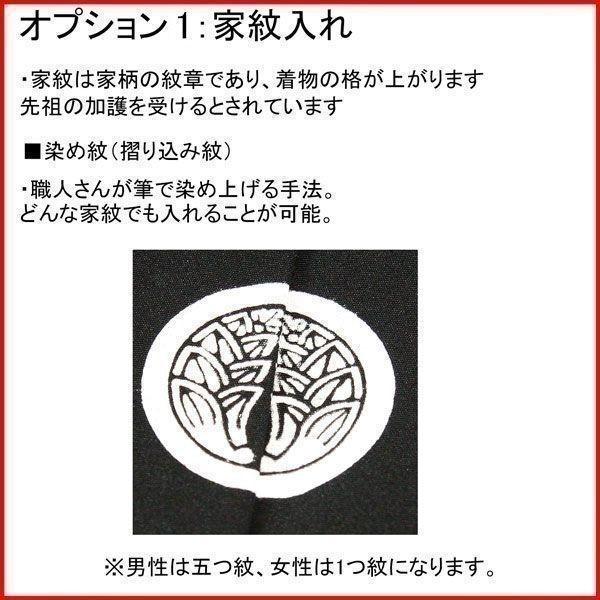 お宮参り産着 女児 女の子 正絹 のしめ 金刺繍 赤地 豪華絢爛 祝着 初着 着物 一つ身 新品（株）安田屋 NO39736_3