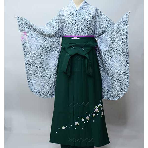 二尺袖 着物 袴フルセット ジュニア用へ直し 135cm〜150cm 小紋柄 和遊