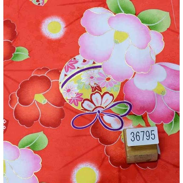 二尺袖 着物 袴 フルセット 百花斉放 朱色 袴変更可能 卒業式 新品（株 