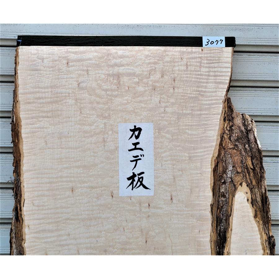 楓 カエデ 板（3077）1000×365〜440×38 無垢板 全体縮杢 両耳付き