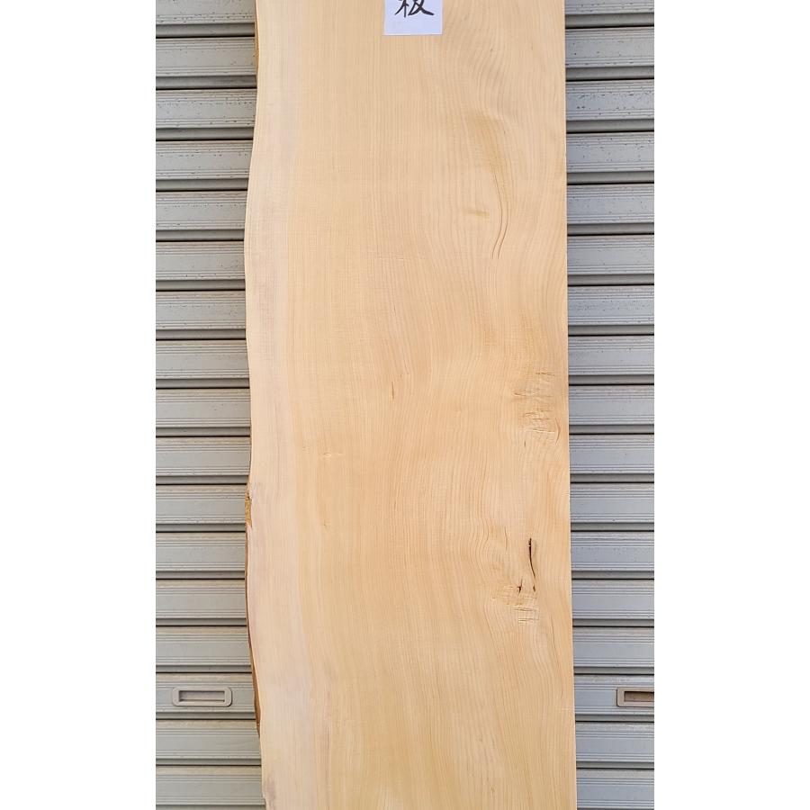 榧 カヤ（3256） 無垢板 1840×345〜392×40 片耳付き □売切り品□ 棚板