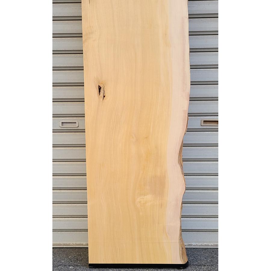 榧 カヤ（3256） 無垢板 1840×345〜392×40 片耳付き □売切り品□ 棚板
