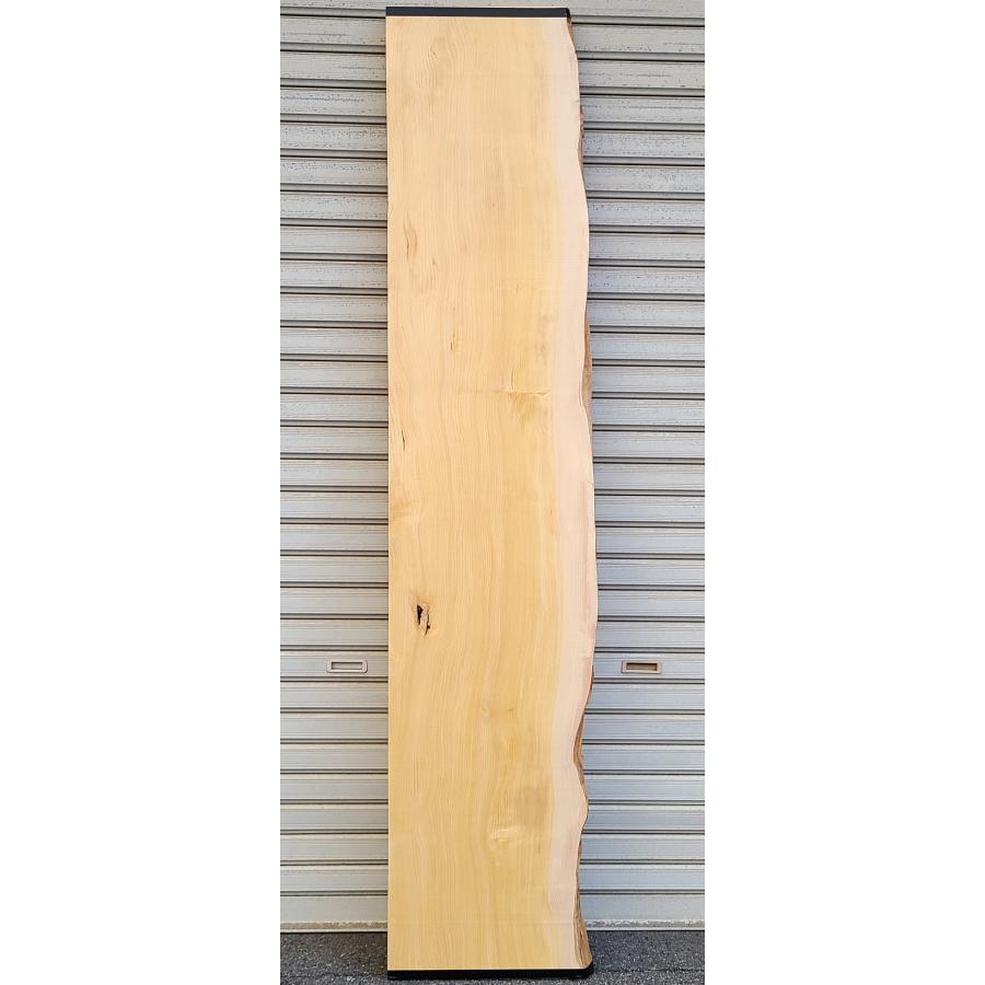 榧 カヤ（3256） 無垢板 1840×345〜392×40 片耳付き □売切り品