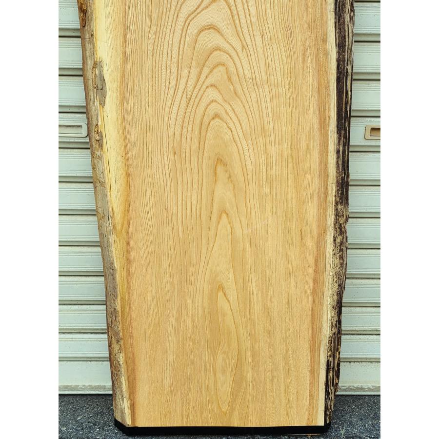 激レア!欅の丸太F