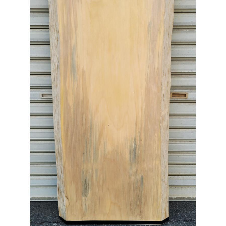イチョウ 銀杏 板 (3359) 1575×360〜430×38 無垢板 プレナー加工品 両