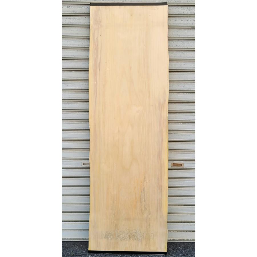 イチョウ 銀杏 板 (3359) 1575×360〜430×38 無垢板 プレナー加工品 両