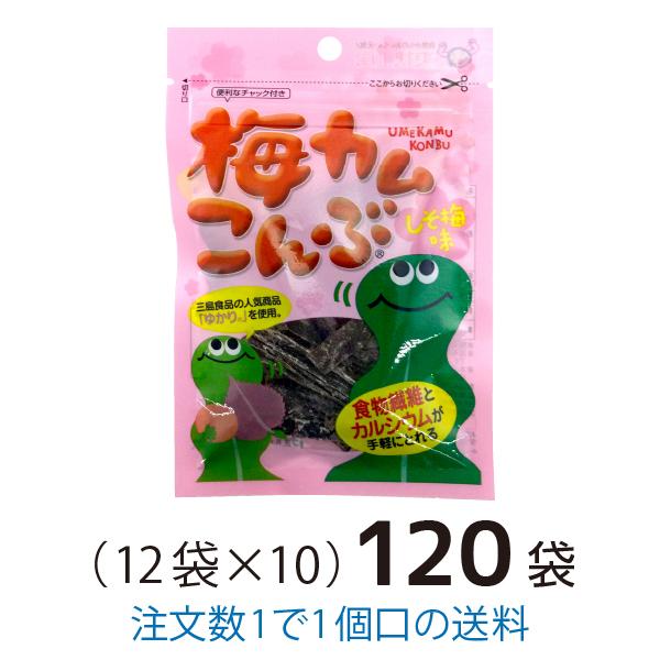 ガリガリ君 25周年記念 純銀製 シルバーアイススティック 和素材を使用