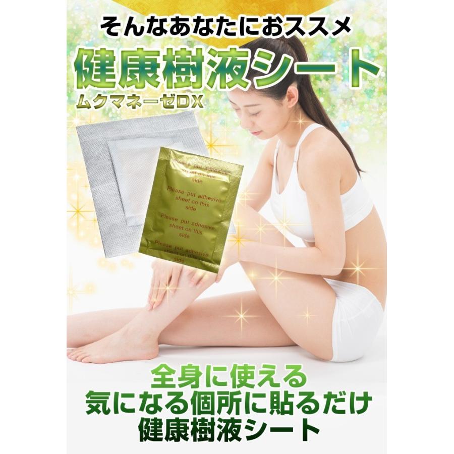 ムクマネーゼDX」 樹液シート 300枚 足裏 すっきり 足リラックス