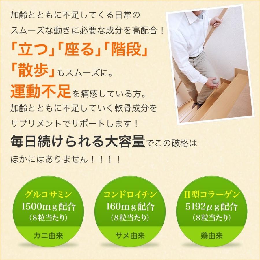 送料無料 業務用 グルコサミン コンドロイチン 600粒 2袋セット ファッション通販 大容量 最大約8ヶ月分 プロテオグリカン配合 サプリメント