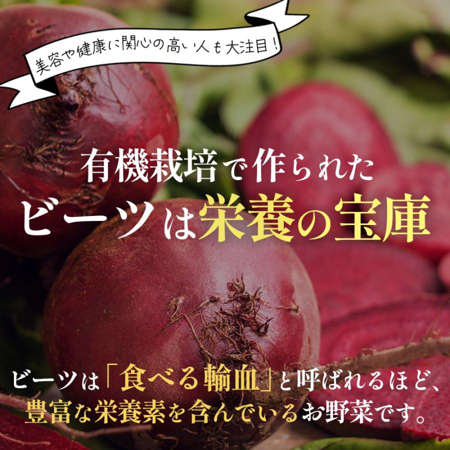 （ポイント常時10倍商品）ビーツパウダー 個包装タイプ 顆粒 3g×31本入り 約1ヶ月分 熊本県 あさぎり町産100% スティックタイプ リフ工房 ビーツ｜yasukabai｜04