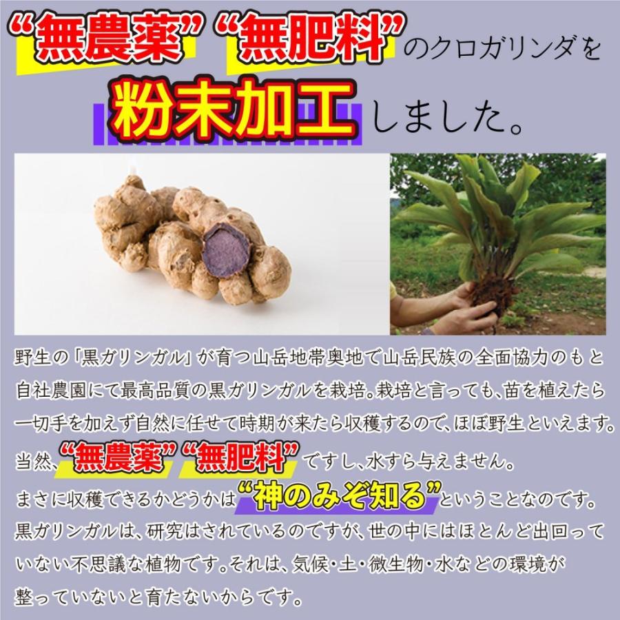 ポイント常時2倍商品）クロガリンダ 370mg×100カプセル 黒ガリンガル