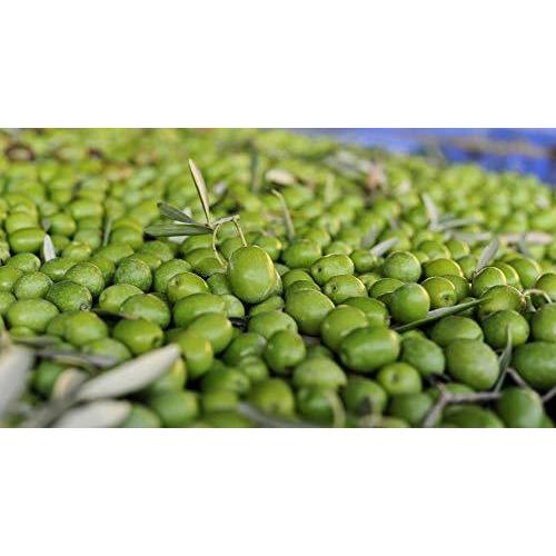 最大74 Offクーポン ゴヤ エキストラヴァージン オリーブ オイル Unico 500ml Goya スペイン産 Cisama Sc Gov Br