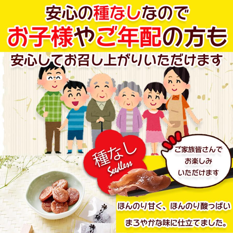 リフココ まろやか干し梅 種なし梅 個包装 500g (約130個前後) 大容量