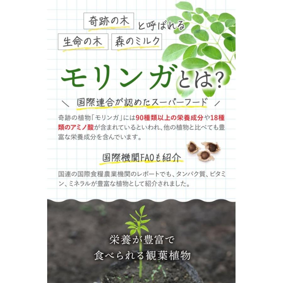 種、種子 1kg入り：インド産モリンガの種