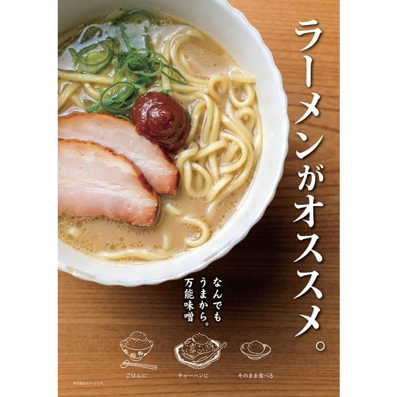 山内本店 うまい味噌 からいみそ 200g×2本 まぼろしの味噌使用 永田富