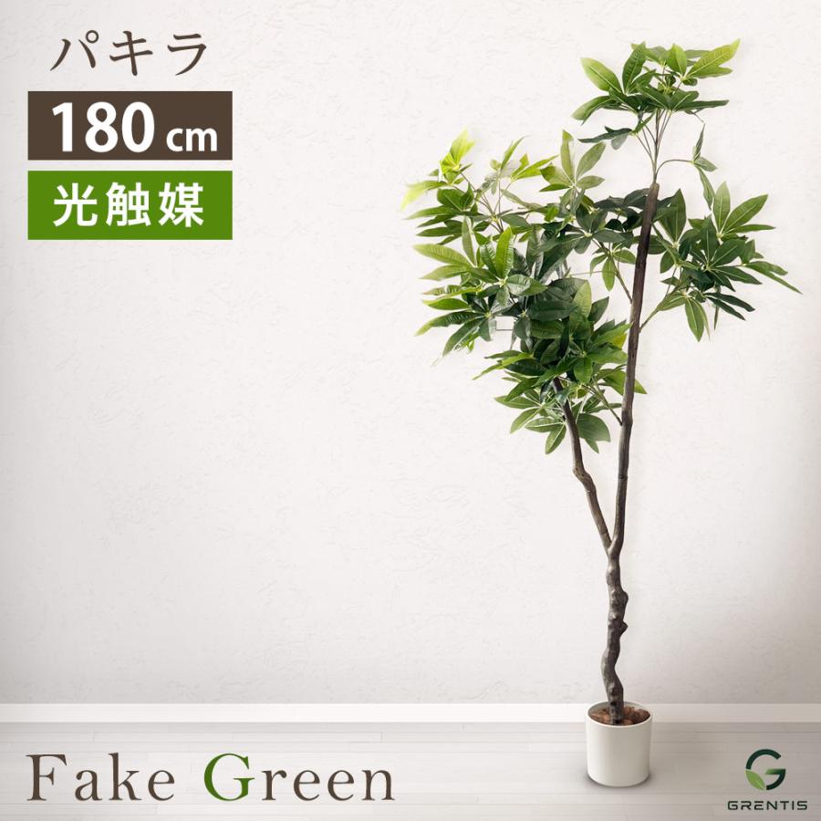 フェイクグリーン AG-PAC180 パキラ 高さ180cm GRENTIS(グレンティス