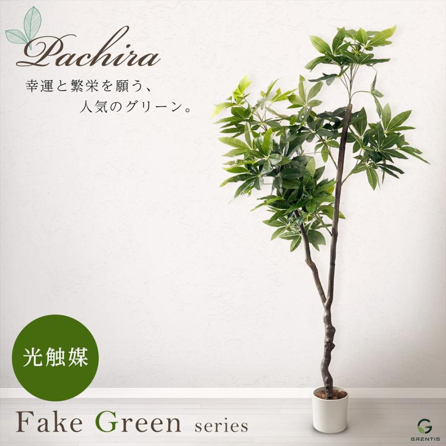 フェイクグリーン AG-PAC180 パキラ 高さ180cm GRENTIS(グレンティス