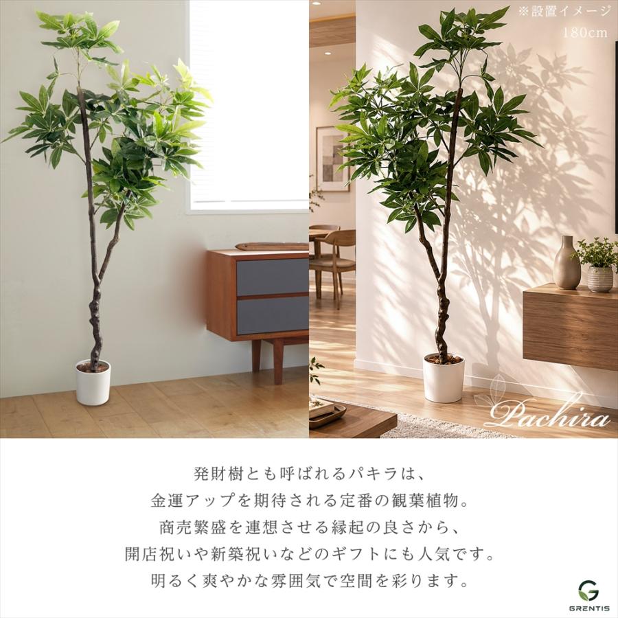 フェイクグリーン AG-PAC180 パキラ 高さ180cm GRENTIS(グレンティス