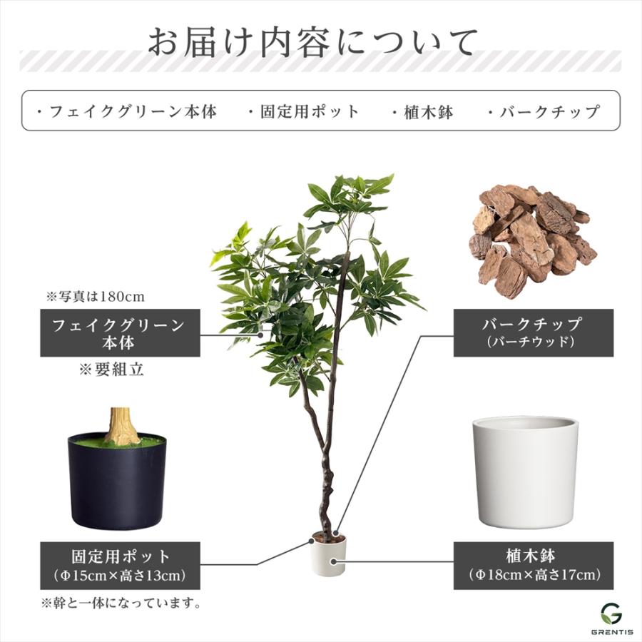 フェイクグリーン AG-PAC180 パキラ 高さ180cm GRENTIS(グレンティス