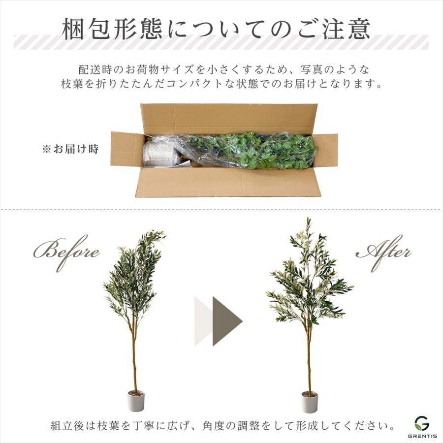 フェイクグリーン AG-PAC180 パキラ 高さ180cm GRENTIS(グレンティス
