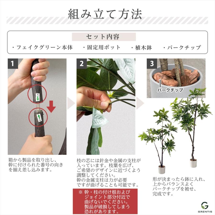 フェイクグリーン AG-PAC180 パキラ 高さ180cm GRENTIS(グレンティス