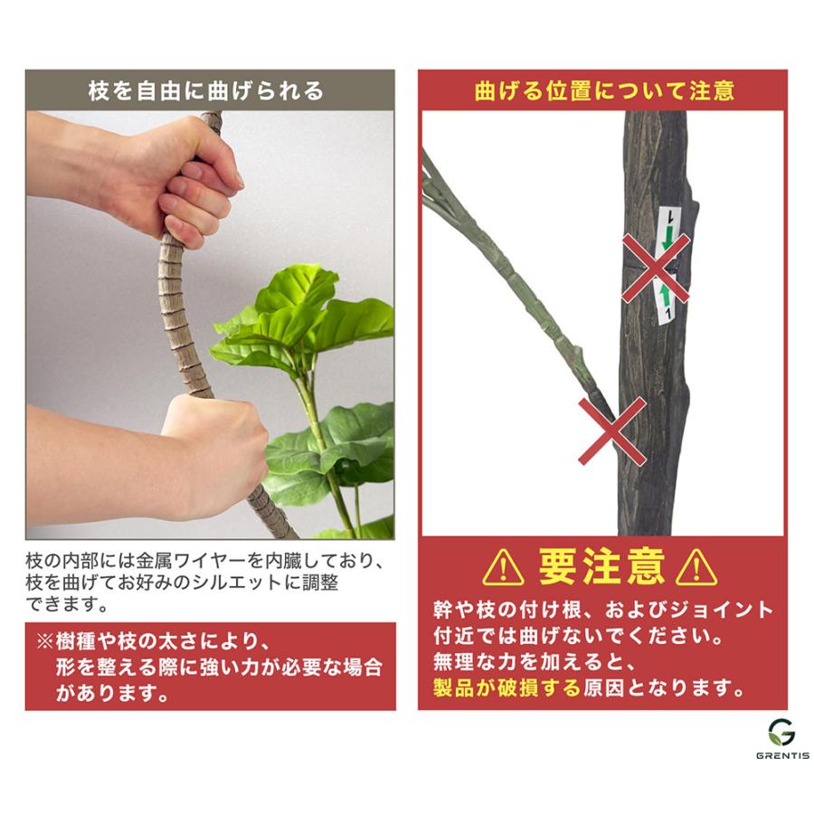 フェイクグリーン AG-PAC180 パキラ 高さ180cm GRENTIS(グレンティス