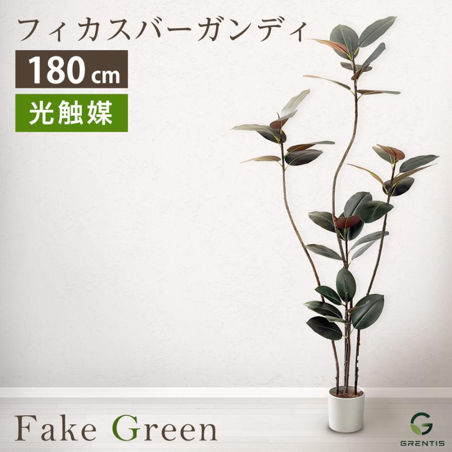 フェイクグリーン AG-BGD180 フィカス・バーガンディ 高さ180cm