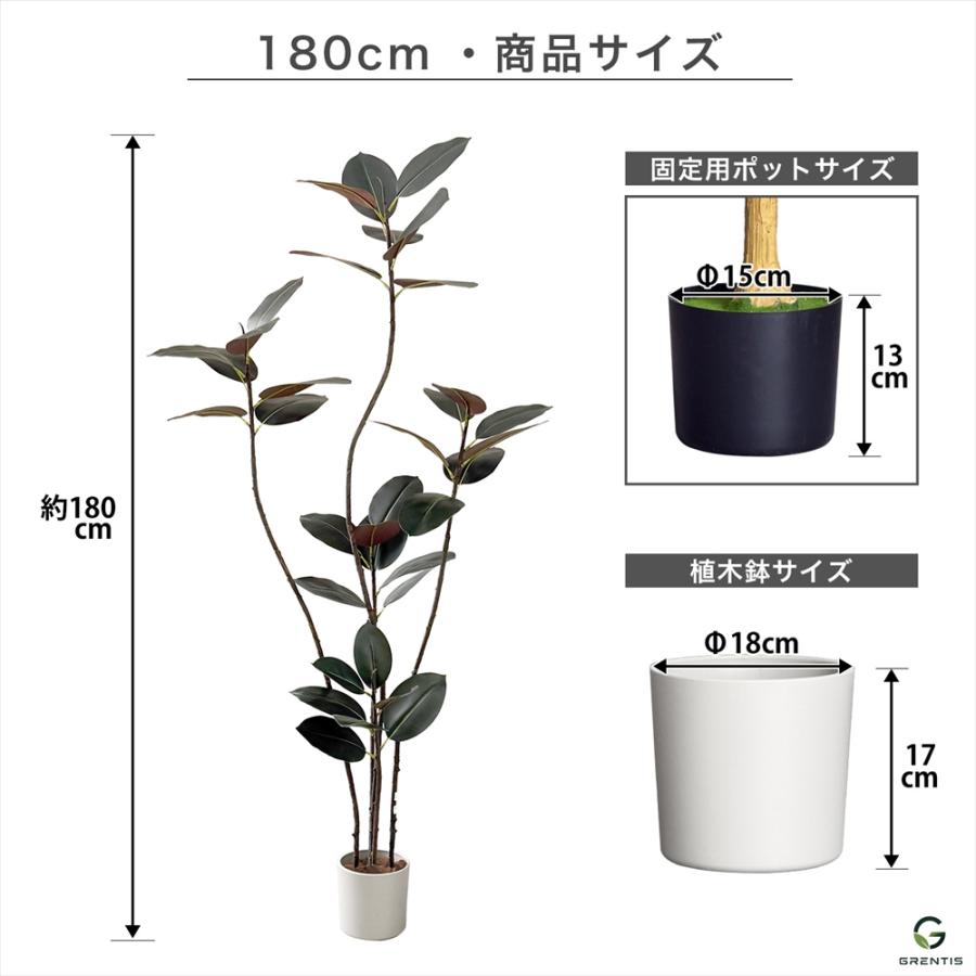 観葉植物 フィカス バーガンディわ180cm フェイクグリーン AG-BGD180 フィカス・バーガンディ 高さ180cm