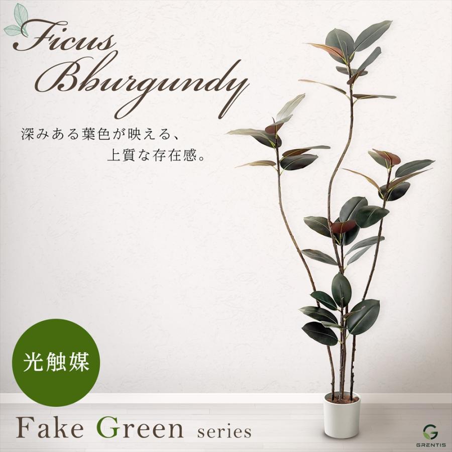 フェイクグリーン AG-BGD180 フィカス・バーガンディ 高さ180cm